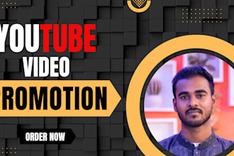 do organic youtube video promotion and channel growth