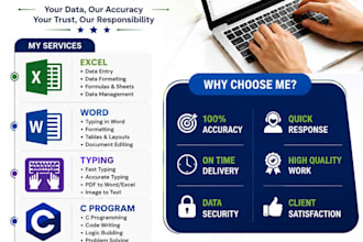 be your professional data entry operator for excel and word
