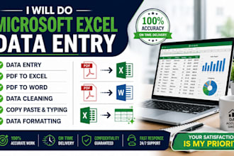 do microsoft excel data entry, PDF to excel, PDF to word and data cleaning
