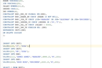build and debug your java or sql database projects