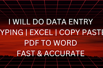 fast and accurate data entry work