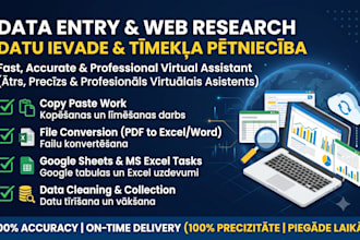 do expert data entry and web research