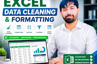 clean and format  excel spreadsheets professionally