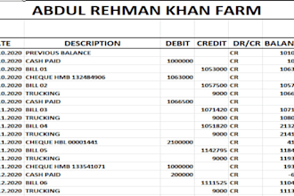 data entry and maintain ledger in a proper manner