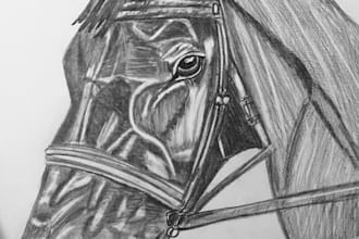 create custom sketches animal sketch animie sketches