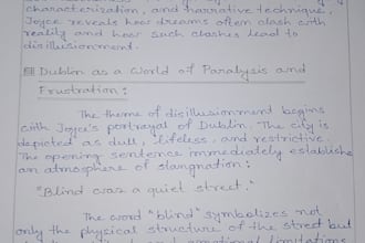 write neat and professional handwritten notes with accuracy and ontime delivery