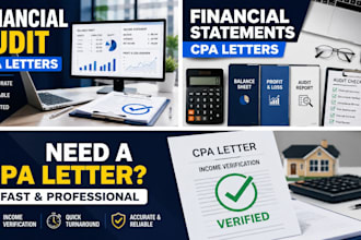 do CPA financial audit, prepare financial statement and profit and loss