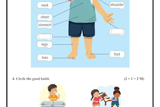 be your educational content consultant for k to 5
