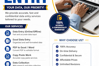 do professional data entry, copy paste and web research work