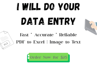 do manual data entry and typing work for you