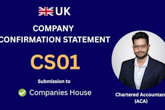 file the confirmation statement for your UK company