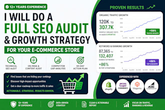 seo audit and strategy for ecommerce stores
