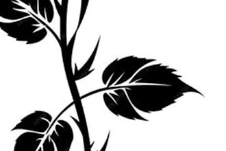 design custom cover up tattoo concept