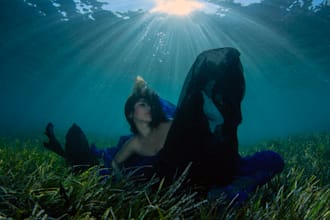 create professional underwater photography for your brand