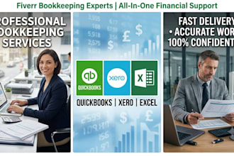 do professional bookkeeping in quickbooks, xero, and excel