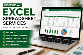 create format, and organize microsoft excel spreadsheets