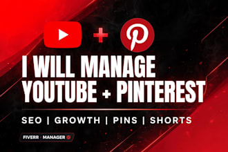 manage youtube and pinterest management