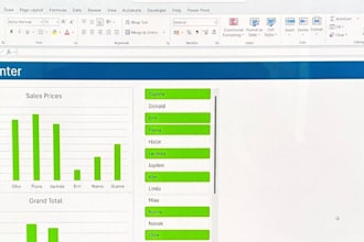 provide professional data management and document formatting services