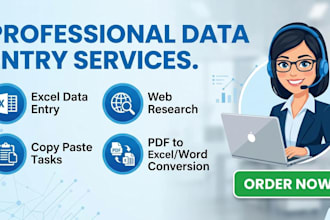 do professional data entry,copy paste , and web research