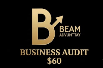 do a professional business strategy and market audit for you