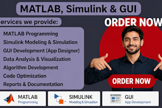 provide urgent services of matlab programming, simulink