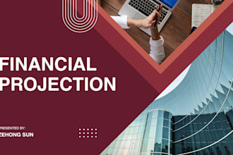 build a professional financial model