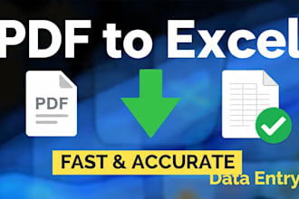do 100 percent accurate PDF to excel data entry and copy paste