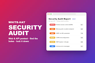 do a professional security audit of your website or rest API
