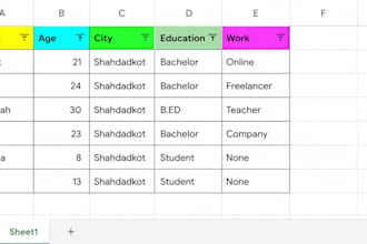create excel formulas, filters and clean your messy sheet