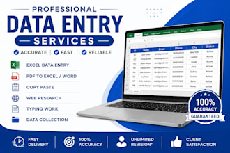 do accurate data entry or excel data entry for your business or project