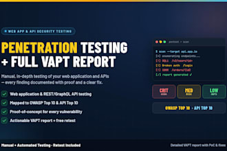 do a web application and API penetration test with vapt report