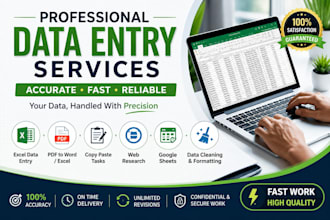do data entry, cleaning, extraction