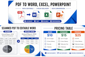 convert PDF to word, excel, PPT in 1 hour