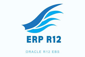 oracle r12 ebs financials