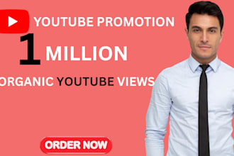 shoutout organic USA youtube channel video SEO promotion 1 million people views