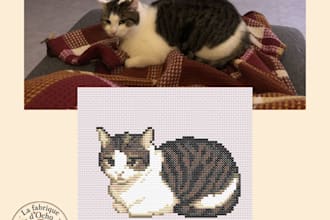 create a cross stitch pattern based on a picture