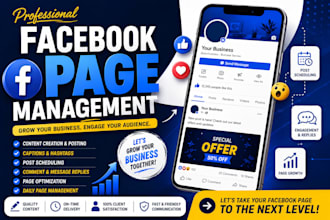 manage your facebook professionally