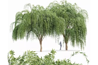 do 3d house tree model,office flower design and glb,gltf,obj model file print