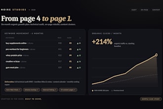 a full SEO audit and on page optimization for your website