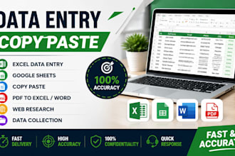 do accurate data entry, excel, google sheets, copy paste and PDF conversion