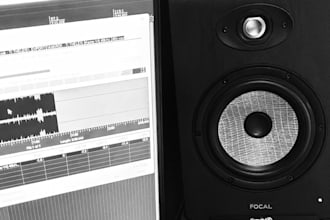 professionally mix and master your song to match your vision