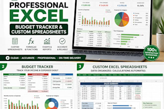 create a professional microsoft excel budget tracker