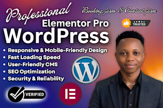 wordpress elementor woocommerce website responsive sales lp