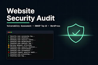 perform a website security audit and vulnerability assessment