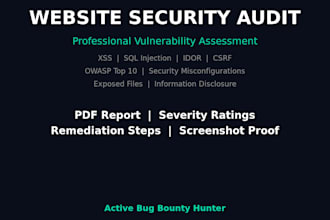 perform a professional website security audit and vulnerability report