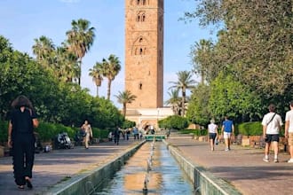 be your marrakesh local advisor and answer travel questions