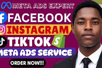 be shopify ads expert manage facebook ads campaign google ads and tiktok ads