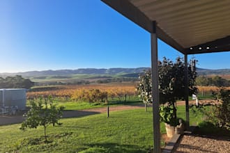 film a property or vineyard walkthrough for you in sa