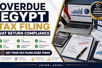 fix overdue egypt vat return tax filing and tax compliance