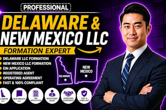 do delaware and new mexico llc registration and  formation for non US residents